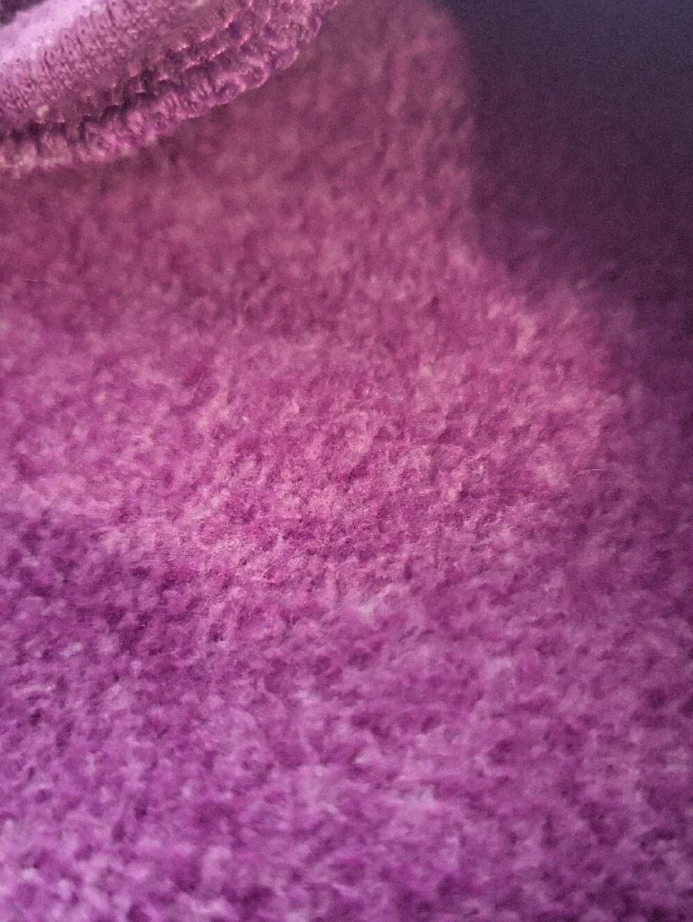 3 For $12 - Warm Purple Dog Sweatshirt